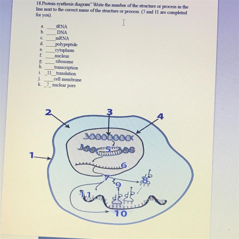 Please help ASAP!!!! 15 points-example-1