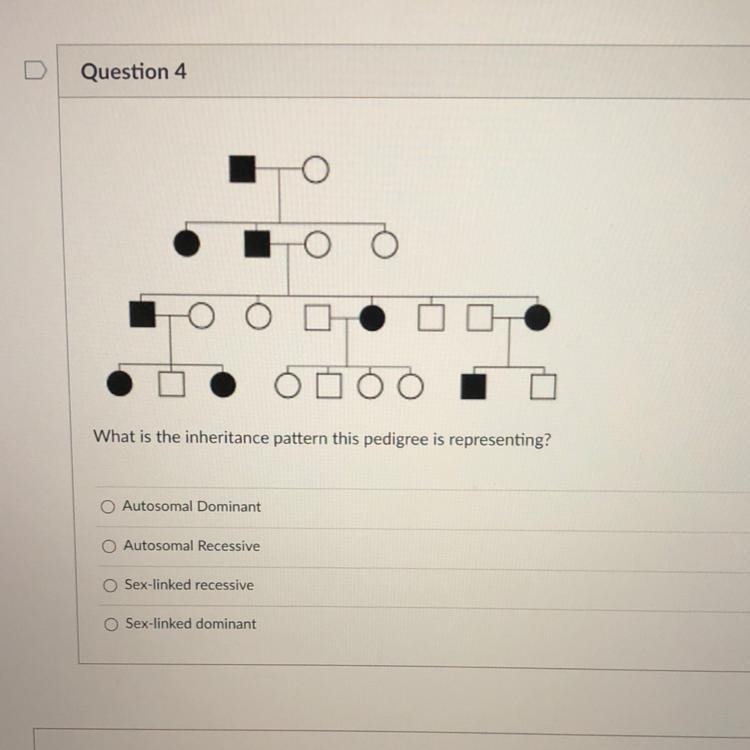 What is the inheritance pattern this pedigree is representing? Autosomal Dominant-example-1