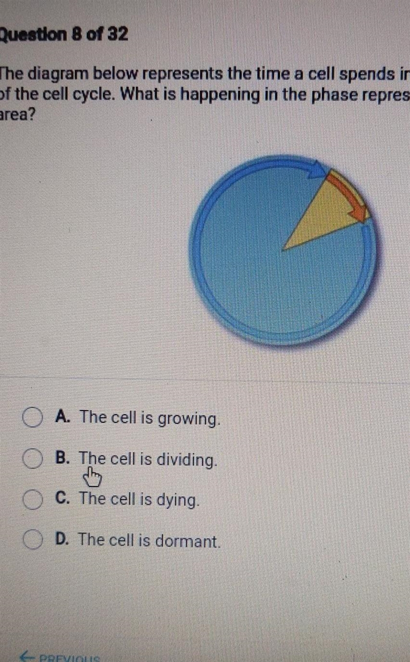 The diagram below represents the time a cell spends in the two main phases of the-example-1