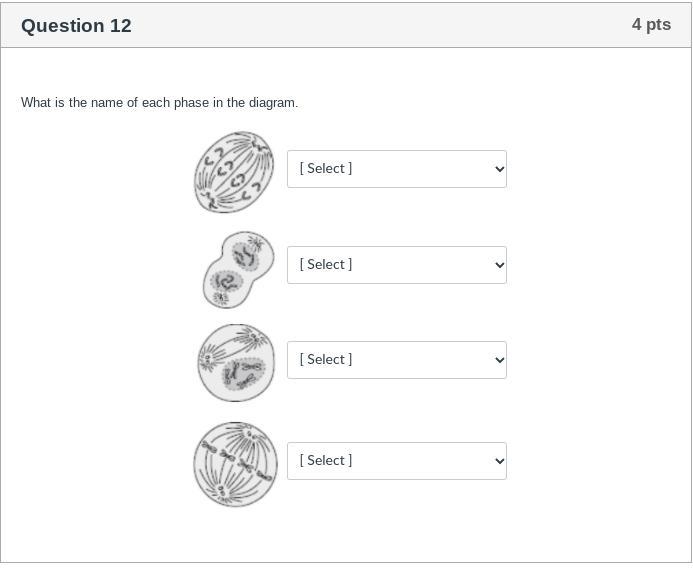 Can someone help me with this pls and thank you :)-example-1