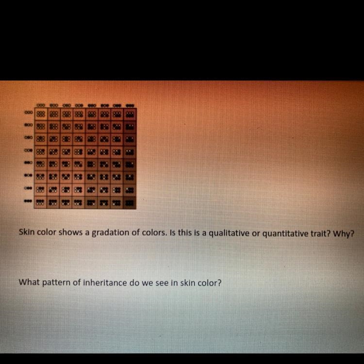 Skin color shows a gradation of colors. Is this is a qualitative or quantitative trait-example-1