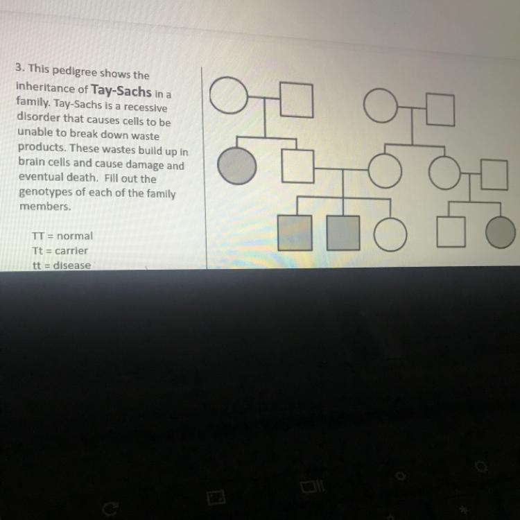 HELP ME I BEEN DOING THIS FOR AN HOUR I CANT DO ITTT ! biology 9grade-example-1