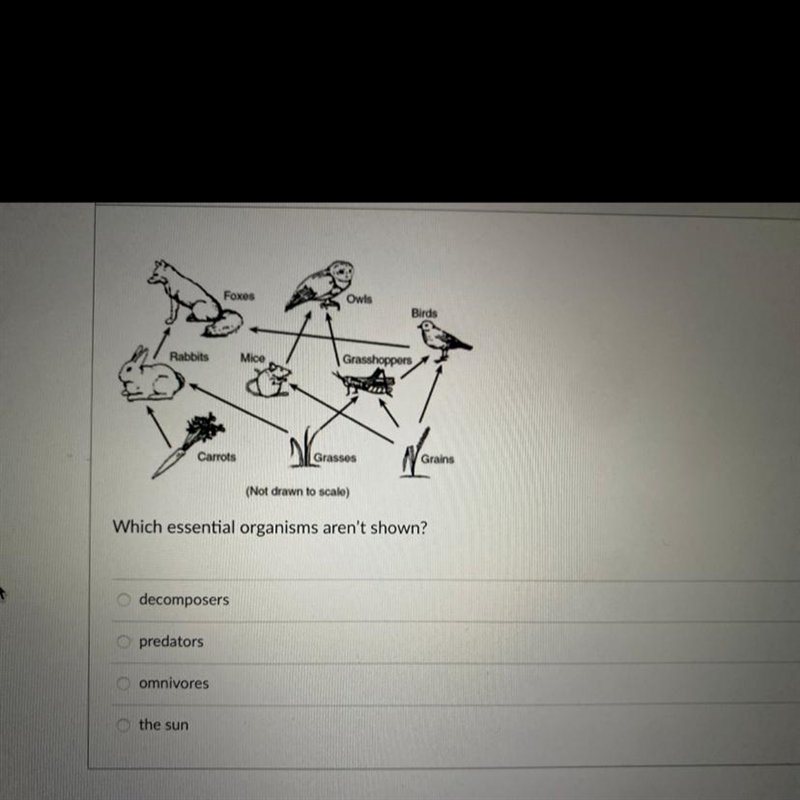 HELP PLEASE!!! If carrots were removed from the food web, how might the other populations-example-1