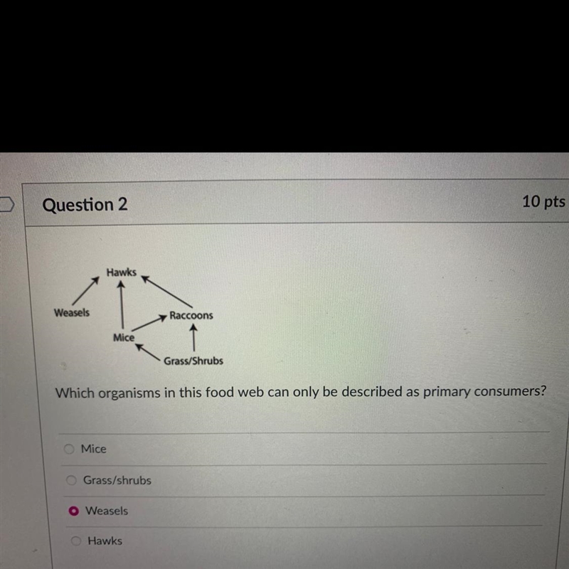 Biology 1 Food web Food chain Hurry up pls-example-1