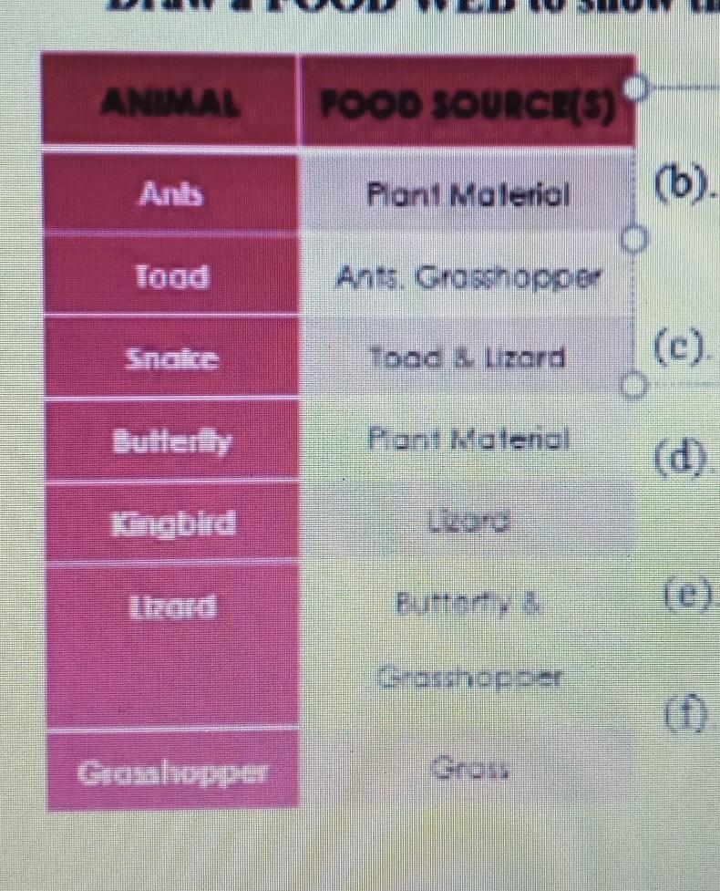 Show the feeding relationships between using a food web. what is both prey and predator-example-1