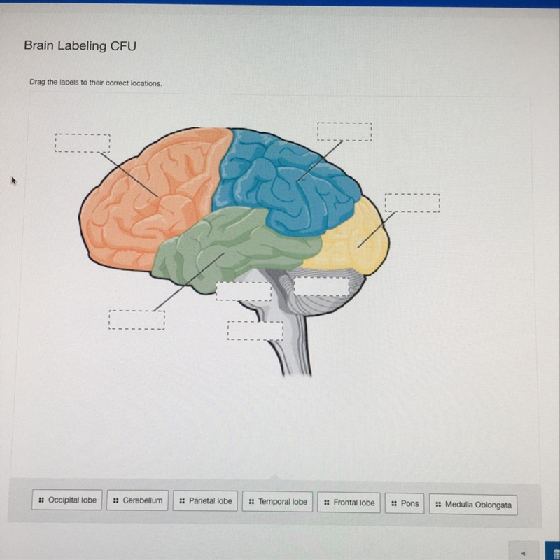 NEED HELP QUICK PLSSSS-example-1