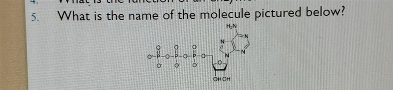 What is the molecule of this picture​-example-1