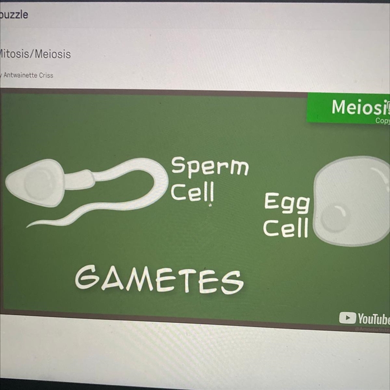 Meiosis makes sperm and egg cells which are called A. Gametes B. Somatics C. Spindles-example-1