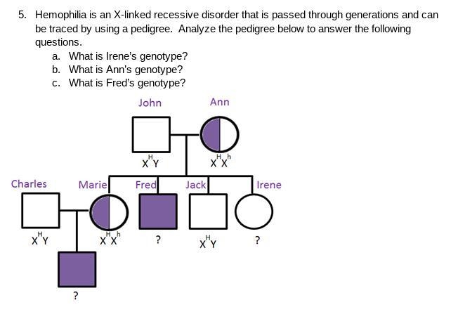 Genetics, 100 points-example-1