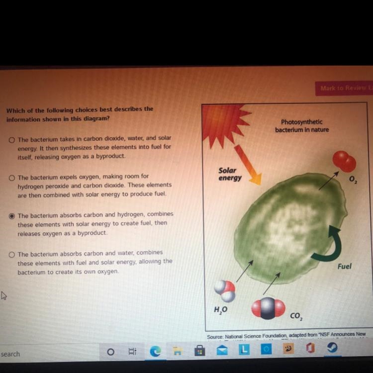 Which of the following choices best describes the information shown in this diagram-example-1