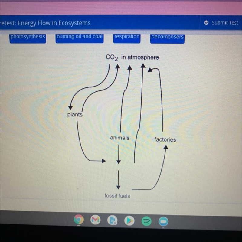 Identify the missing parts of the carbon cycle.-example-1