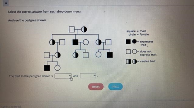 can someone help with this? the answer choices are sex-linked or autosomal for the-example-1