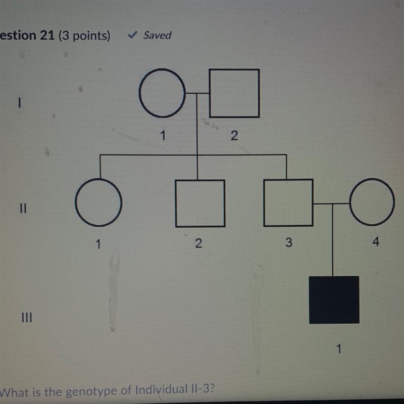 What is the genotype of individual ||-3 ? A.) AA B.) aa C.) Aa-example-1