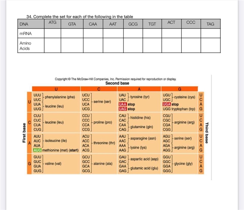 Please help due tomorrow-example-1