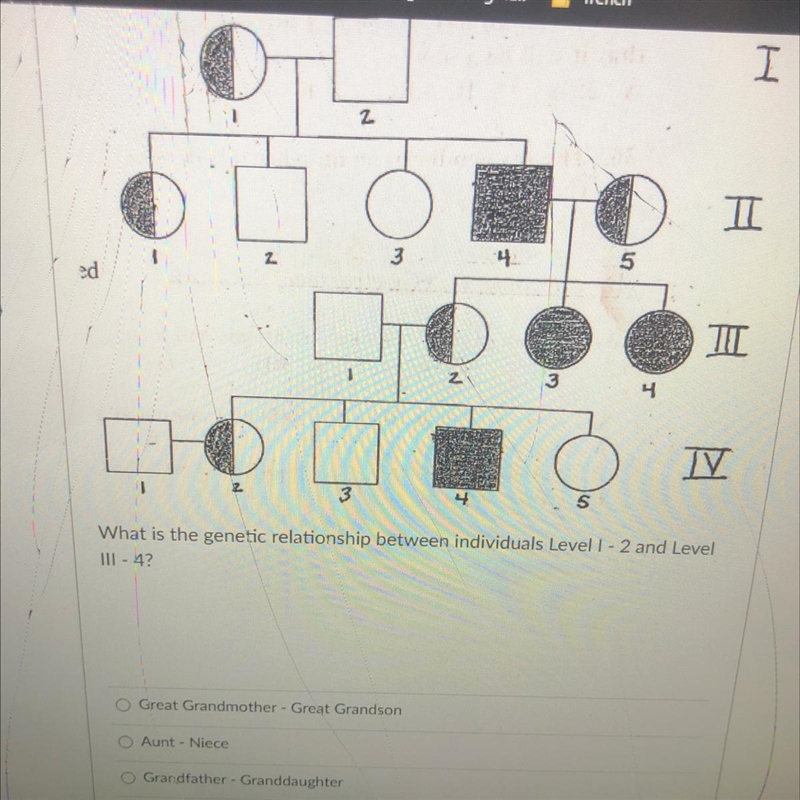 What is the genetic relationship between individuals Level 1 - 2 and Level III - 4-example-1