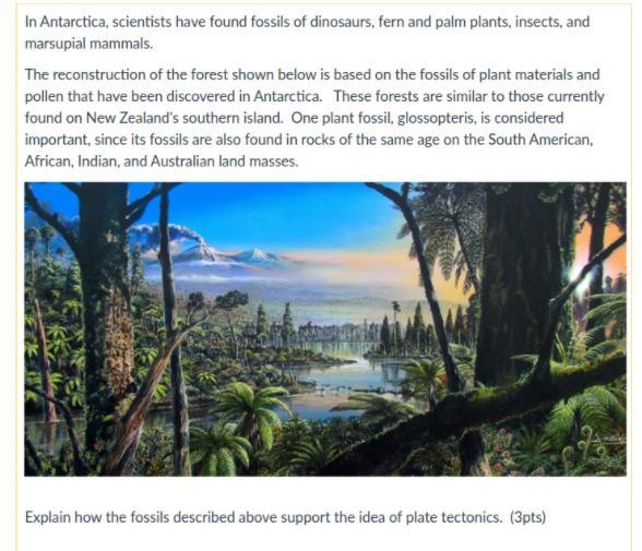 Explain how the fossil described above supports the idea of plate tectonics?-example-1