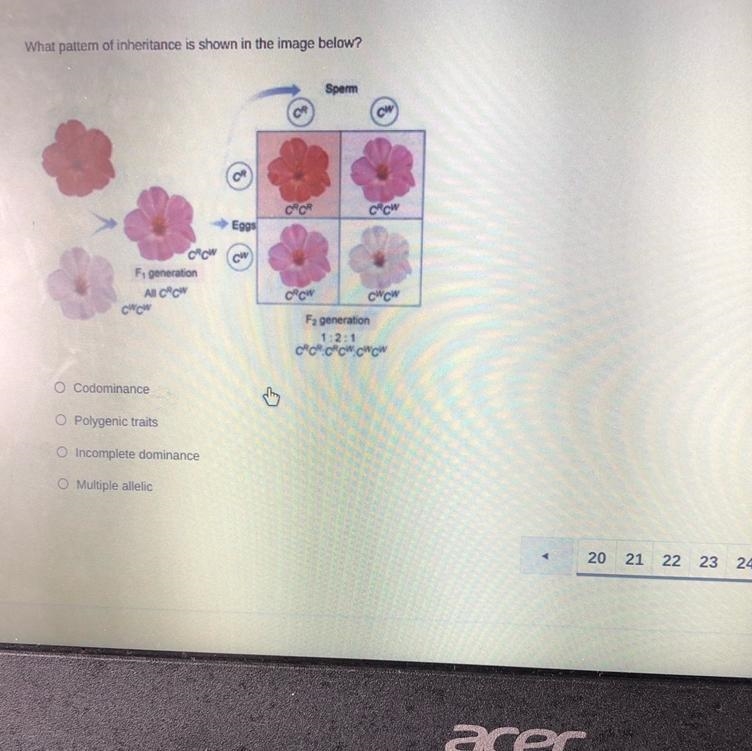 HELP What pattern of inheritance is shown?-example-1