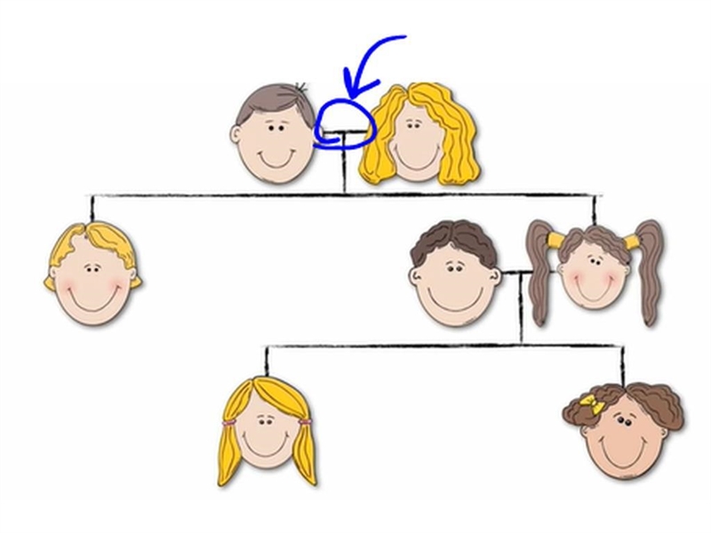 What type of relationship is circled in this pedigree? A. Brother and Sister B. Aunt-example-1