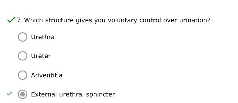 Which structure gives you voluntary control over urination?-example-1