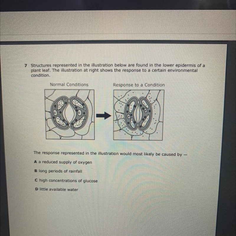 I NEED HELP PLEASE A BIOLOGY QUESTION !!! I have to turn it in now please help !!!-example-1