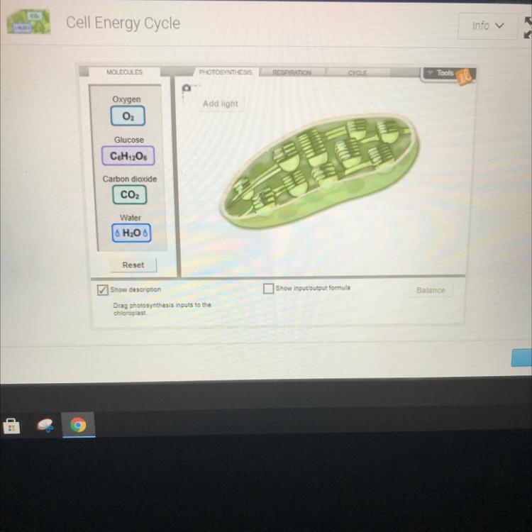 Cell Energy Cycle need help-example-1