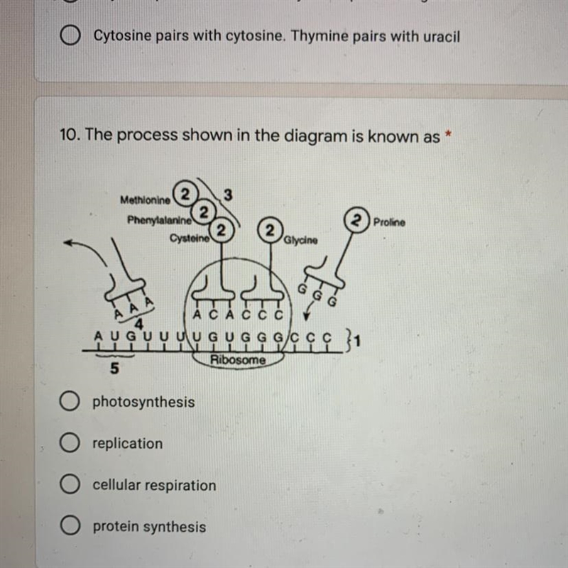 *PLEASE ANSWER FAST! 10. The process shown in the diagram is known as - photosynthesis-example-1