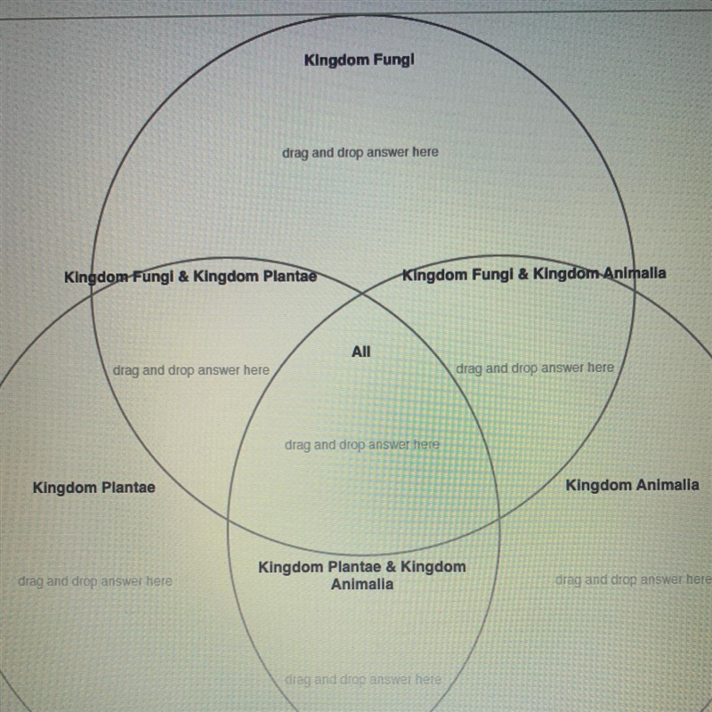 Classifying Some Eukaryotes Listed in the Item Bank are some key terms and expressions-example-1