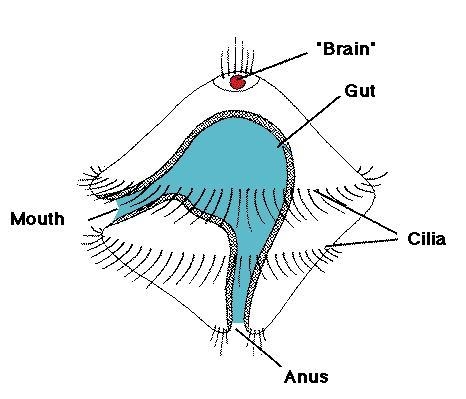 What is this picture-example-1