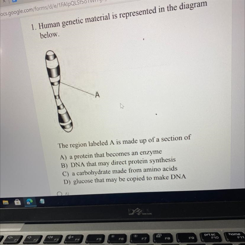 Human genetic material is represented in the diagram below.-example-1