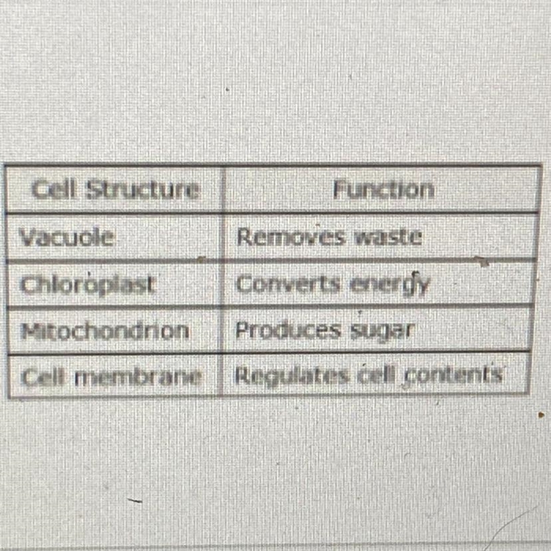 Which table correctly describes the functions of the cell structures listed HELP ME-example-1