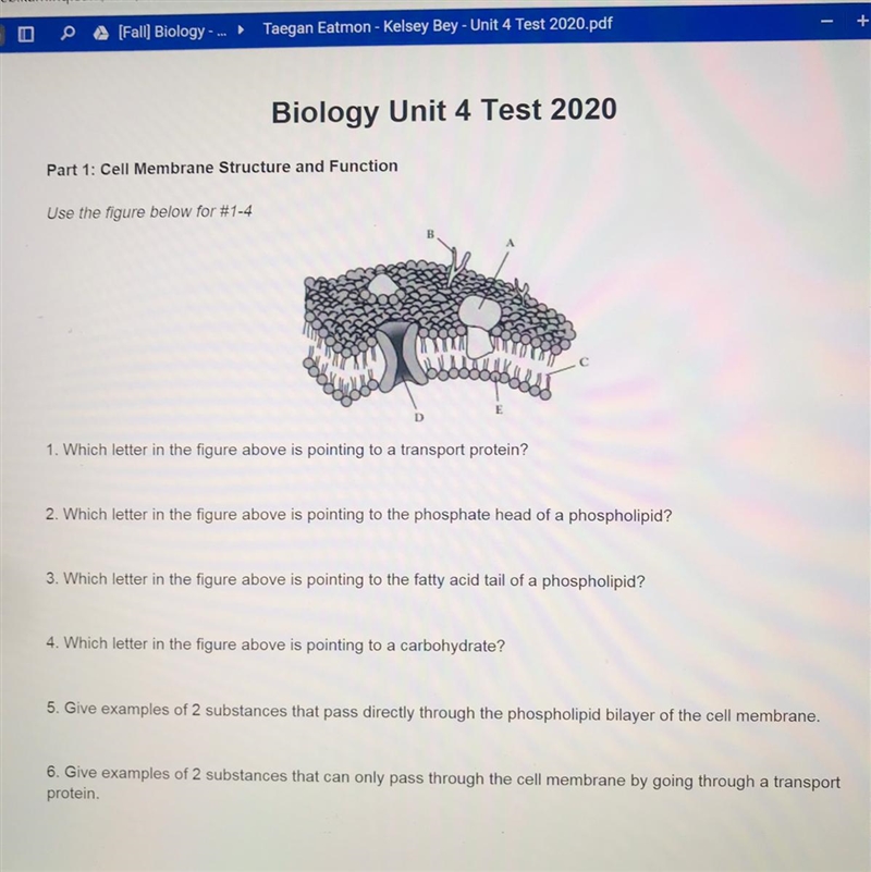 What are the answers to the whole worksheet?-example-1