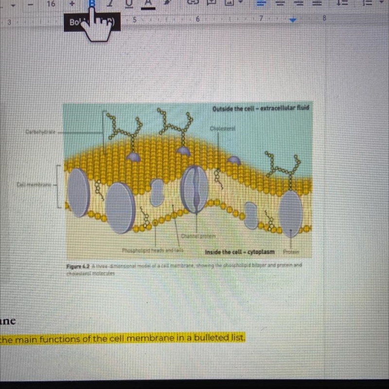 Describe the structure of the cell membrane and its components-example-1