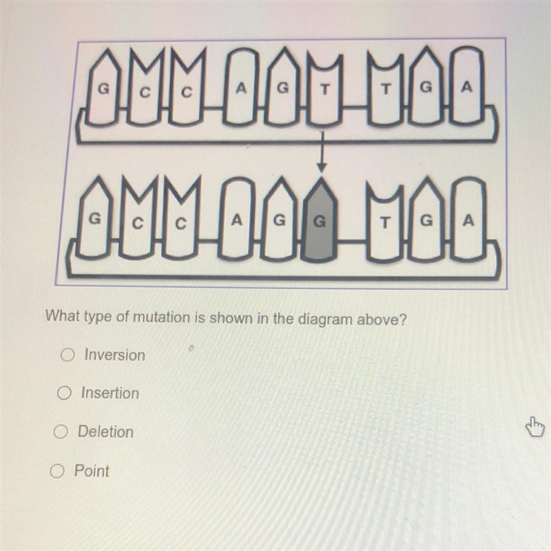 ( please help) What type of mutation is shown in the diagram above? A. Inversion B-example-1