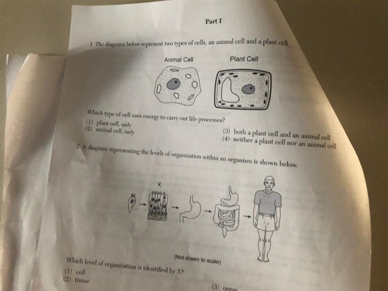 Hi I need help with #1 that is shown in the image below. Pls answer and give me a-example-1