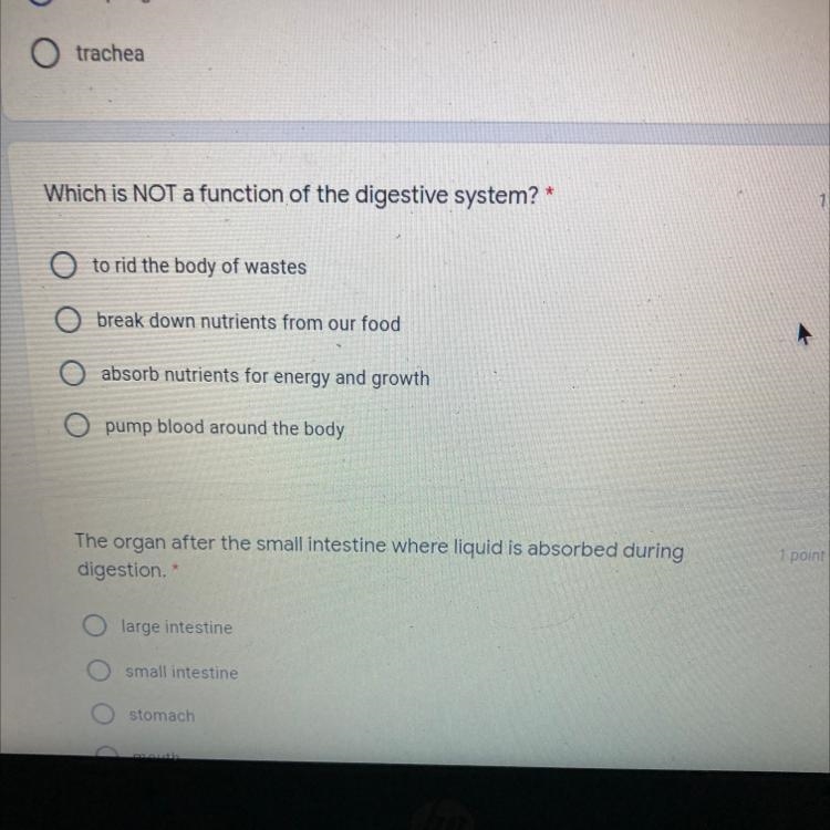 Which is NOT a function of the digestive system? *-example-1