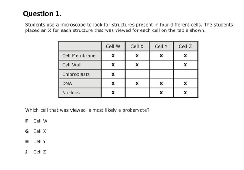 PLEASE HELP i need to pass bio-example-1