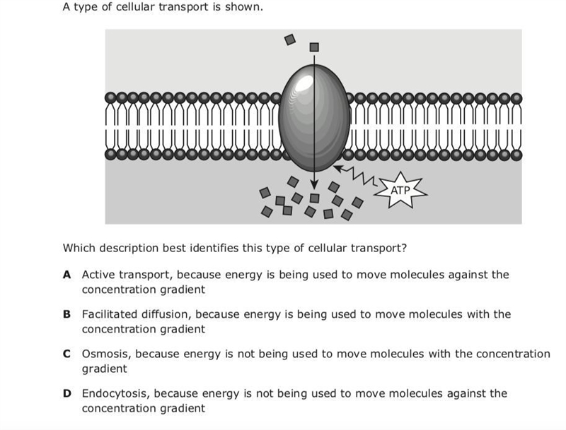 PLEASE HELP i need to pass bio-example-3