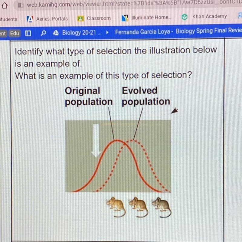 identify what type of selection the illustration below is an example of. what is an-example-1