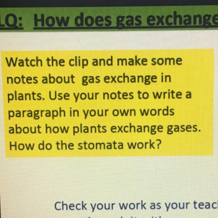 Help Please and don’t waste my time bu saying that you don’t know the answer. thank-example-1