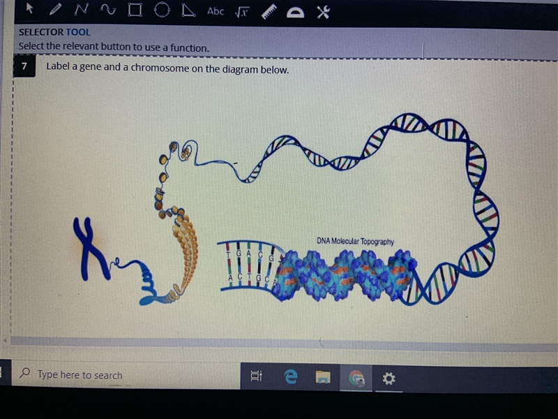 Help me pleaseeeeeeeeeeees-example-1