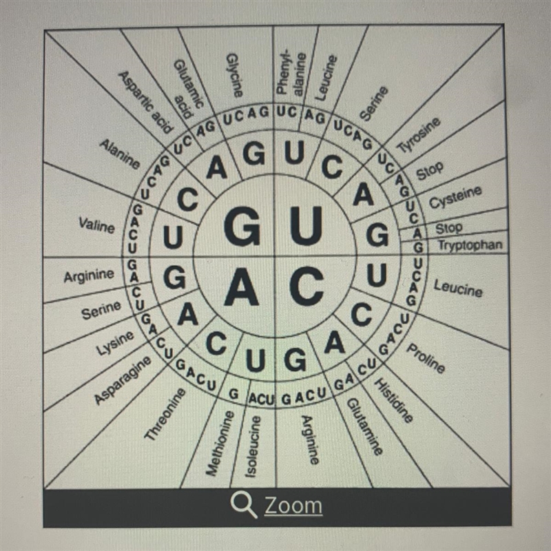 Refer to Figure 12-2. Which of the following is the series of amino acids encoded-example-1