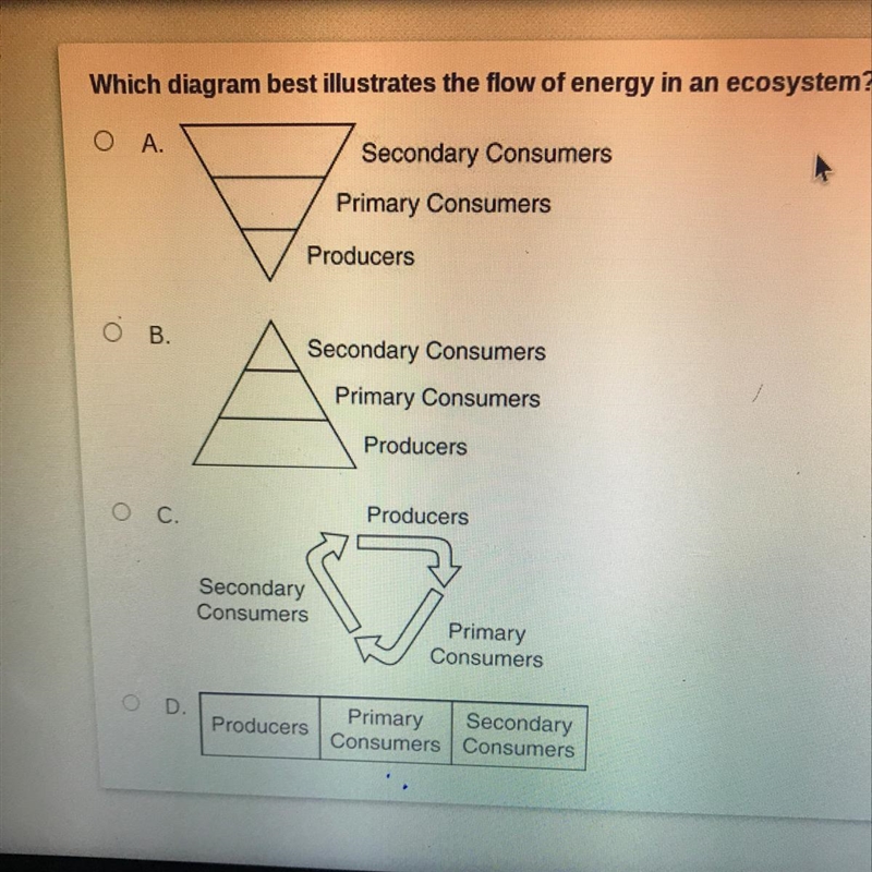 Which diagram best illustrates the flow of energy in an ecosystem?-example-1