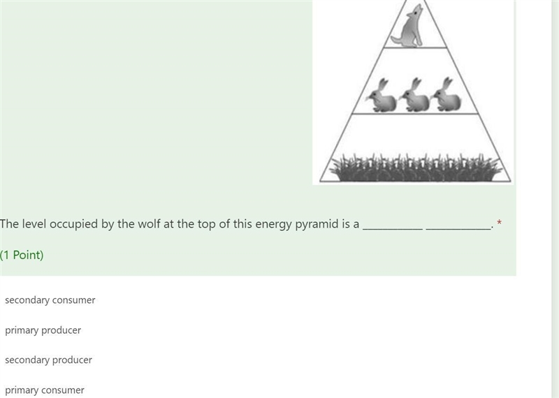 The level occupied by the wolf at the top of this energy pyramid is a ____________ _____________.-example-1