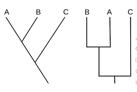 Analyze the two cladograms. Which is the BEST description of these two cladograms-example-1