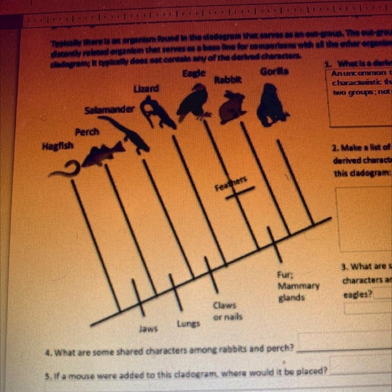 Can someone explain how a cladogram works?-example-1