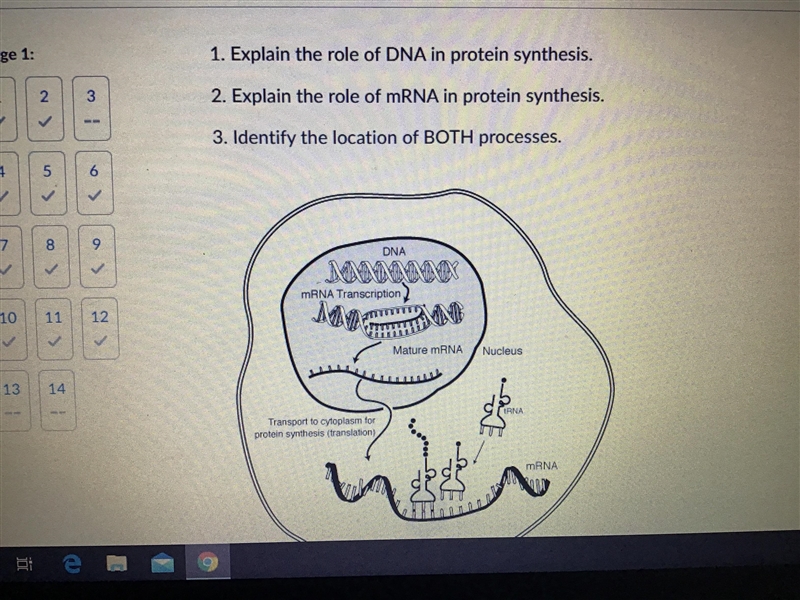 Use the diagram below to answer the following questions for 1 point each- explain-example-1