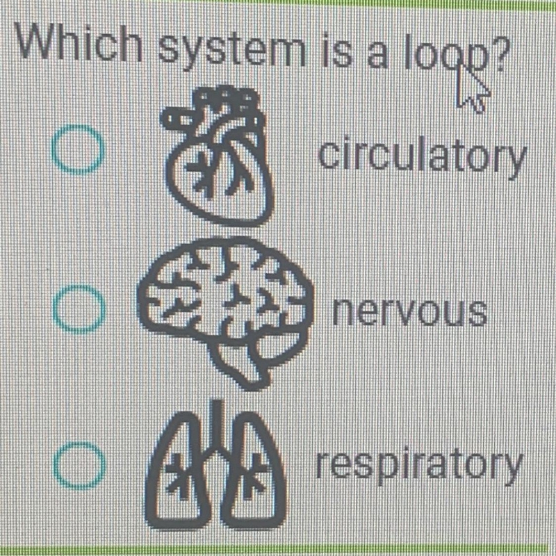 WHICH BODY SYSTEM IS A LOOP? A.) Circulatory B.) Nervous C.) Respiratory-example-1