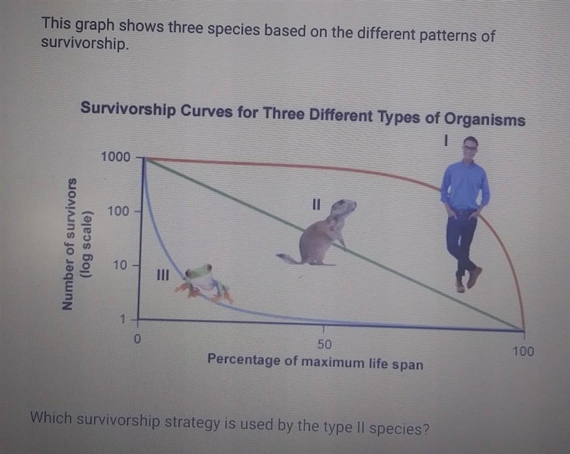 A. Dying mostly as mature adults B. Having a high death rate early in life C. Dying-example-1