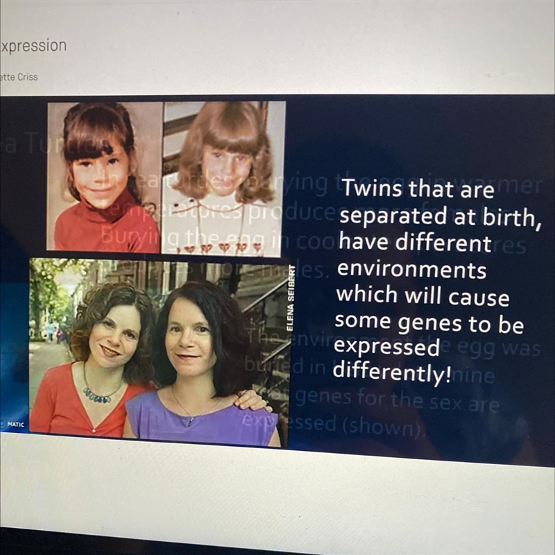 Why do identical twins separated at birth show DIFFERENCES as seen in the pictures-example-1