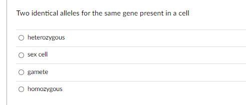 Two identical alleles for the same gene present in a cell-example-1